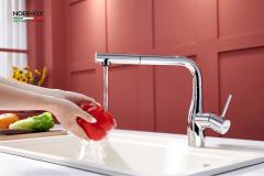 Ảnh VÒI RỬA BÁT DÂY RÚT NOBINOX JAPA NX996 4